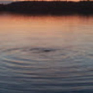 Meet your Posher, Jakob